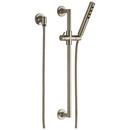 Brizo Brushed Nickel Single Function Hand Shower 