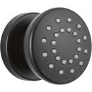 Brizo Matte Black Single Function Body Spray 
