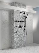 Brizo Matte Black Volume Control Valve Trim Only with Single Lever Handle 