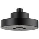 Single Function Showerhead in Matte Black