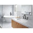 Brizo Matte Black 24 in. Towel Bar 