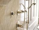 Delta Faucet Brilliance Polished Nickel Multi Function Hand Shower 