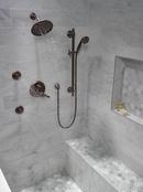 Delta Faucet Venetian&reg; Bronze Multi Function Hand Shower 