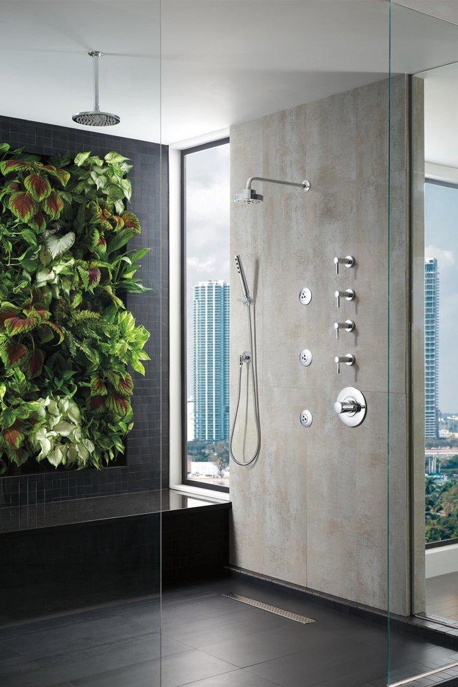 Brizo Chrome Single Function Hand Shower 