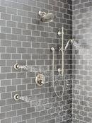 Delta Faucet Brilliance&reg; Stainless Multi Function Hand Shower 