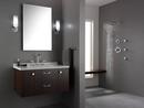 Brizo Chrome Single Function Hand Shower 