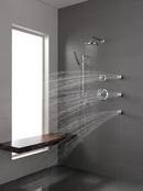 Brizo Chrome Single Function Hand Shower 
