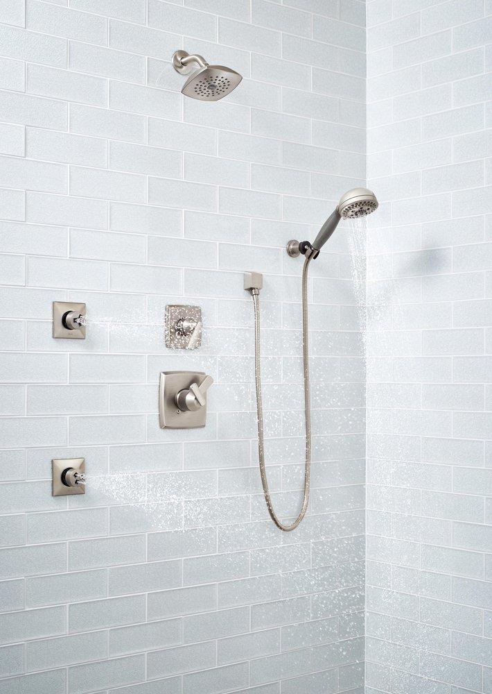 Delta Faucet Brilliance® Stainless Multi Function Hand Shower 