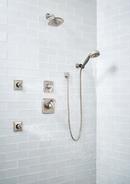 Delta Faucet Brilliance® Stainless Multi Function Hand Shower 