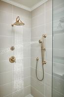 Delta Faucet Brilliance&reg; Champagne Bronze Multi Function Hand Shower 