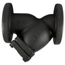 NIBCO 12 Cast Iron 125# Flanged PERF Y-STRN PLUG 