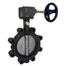 3 Ductile Iron 250 # Stainless Steel FLCA Lug Butterfly Valve Gear Operator