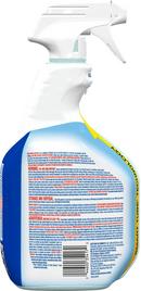 Clorox Clear Clean-Up Cleaner with Bleach (Case of 9) 
