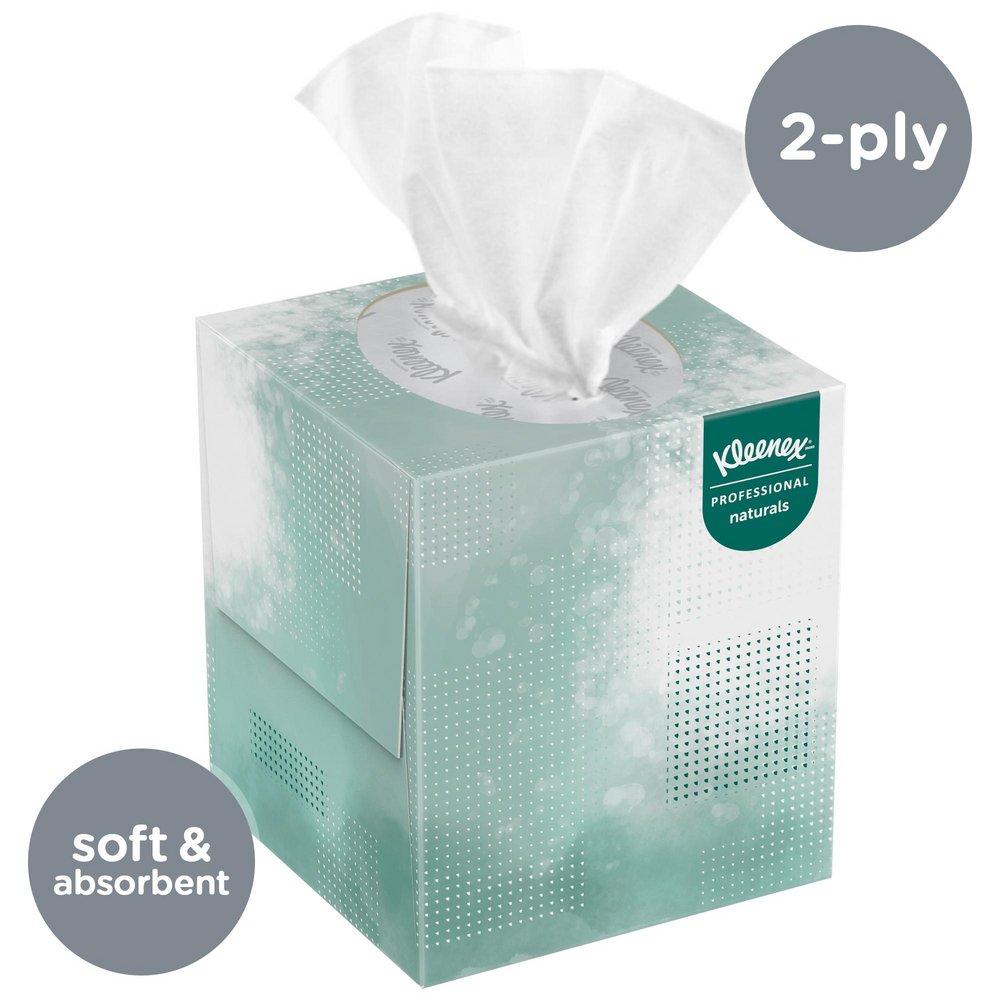 Kimberly Clark White 8 in. Softblend Facial Tissue (Case of 36) 