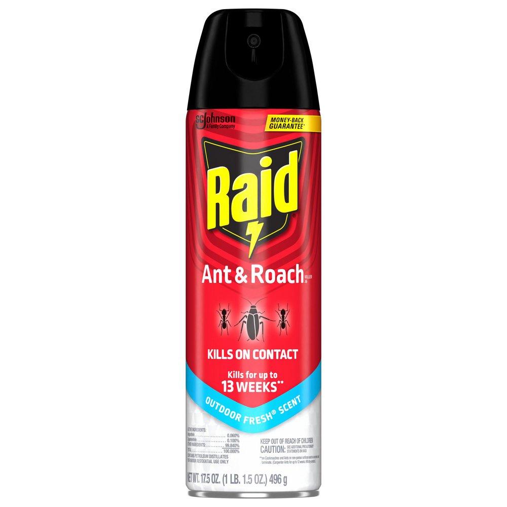 Raid Clear Ant and Roach Killer (Case of 12) 