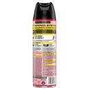 Raid Clear Ant and Roach Killer (Case of 12) 