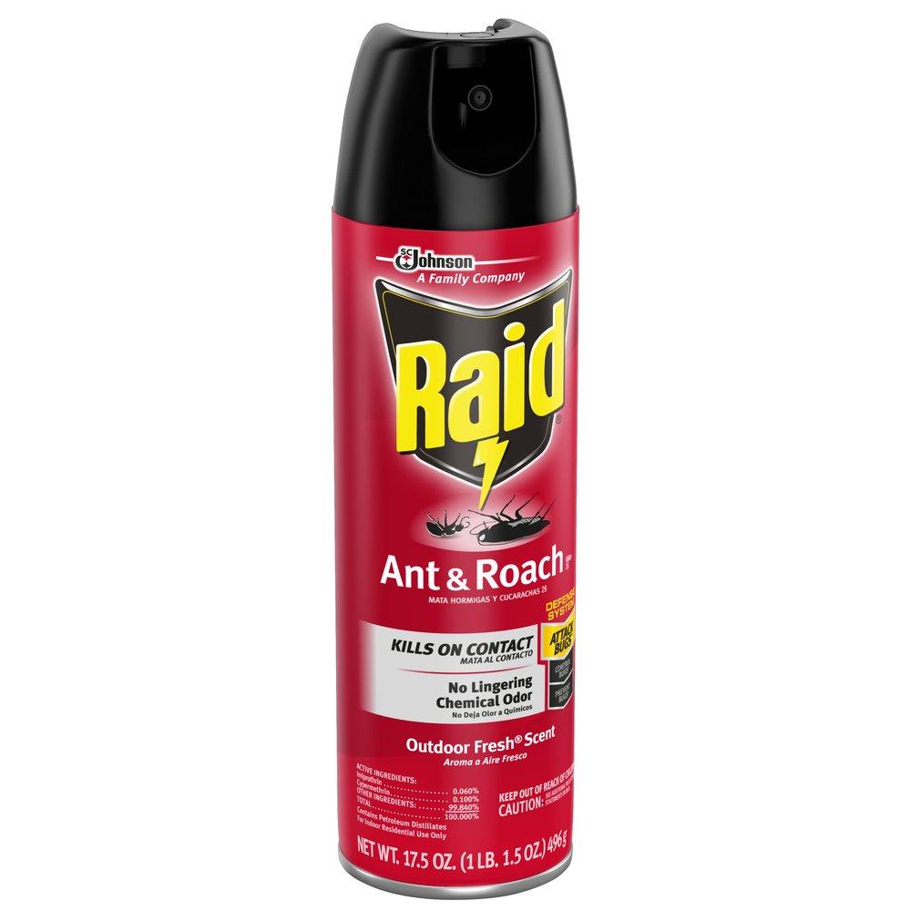 Raid Clear Ant and Roach Killer (Case of 12) 