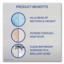 Lysol&reg; Light Straw Mole and Mildew Remover with Bleach (Case of 12) 