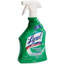 Lysol Light Straw Antibacterial All-Purpose Cleaner with Bleach (Case of 12) 