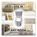 Air Wick Violet Lavender Fragrance Scented Oil Refill (Case of 6) 