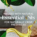 Air Wick Warmer Unit Scented Oil (Case of 6) 