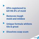 Tilex Instant Mildew Remover 