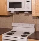 StoveTop FireStop Black 14-1/4 in. Firestop in Black 