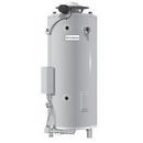 Lochinvar Commercial Gas water Heater 