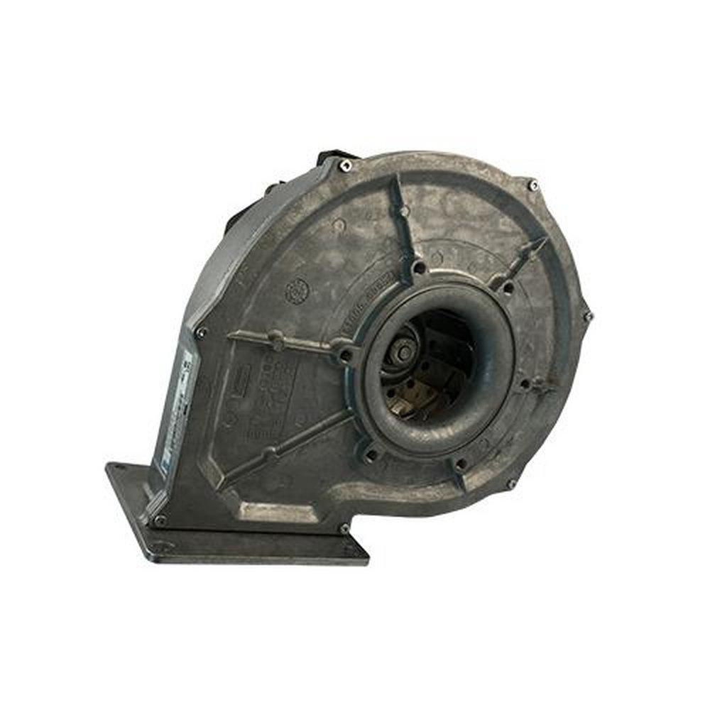 Lochinvar Fan Assembly 