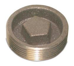2 in. Pentagon Plug