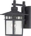 100W 1-Light Medium E-26 Incandescent Wall Lantern in Textured Black
