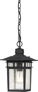 7 x 12 in. 100W 1-Light Ceiling Mount Medium E-26 Incandescent Outdoor Hanging Lantern in Textured Black