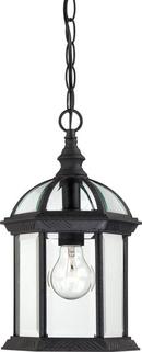 100W 1-Light Outdoor Pendant in Textured Black