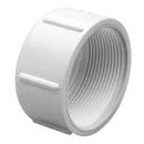 White FPT Schedule 40 PVC Cap 