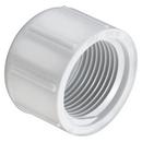 White FPT Schedule 40 PVC Cap 