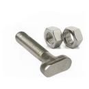 3/4 x 6 in. Stainless Steel T Head Bolt and Nut
