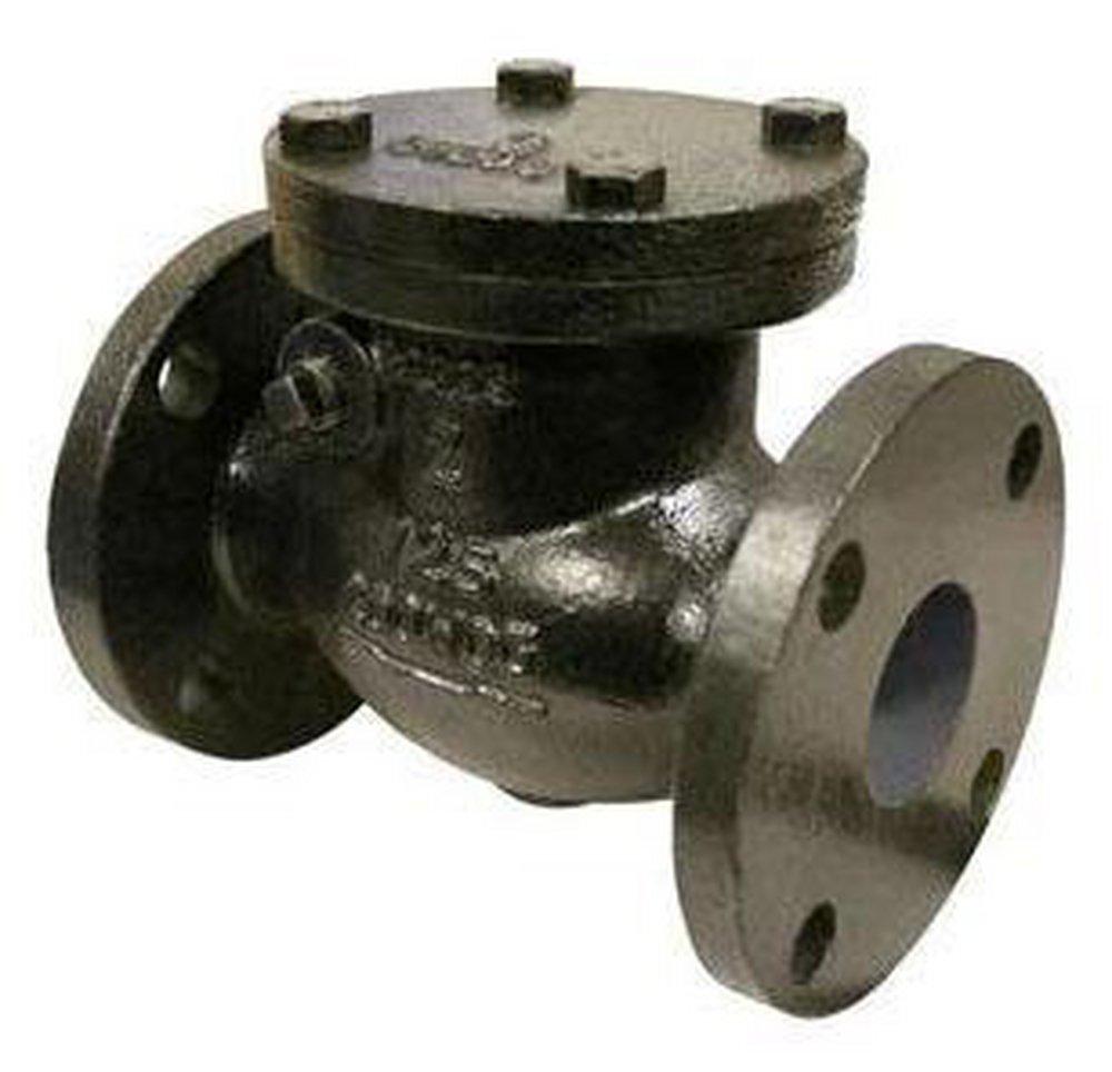 FNW&reg; 125# Cast Iron Flanged Swing Check Valve 