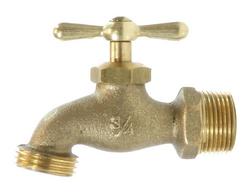 3/4 in. Brass MNPT x MGHT Hose Bibb