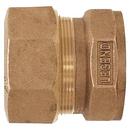 Legend Valve & Fitting Compression x FNPT Global Bronze Adapter 