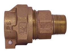 1 in. IPS x MIP Coupling