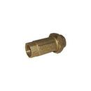 Legend Valve & Fitting Buna-N Forged Brass FNPT 150 psi Backflow Preventer 