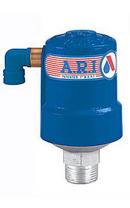 1 in. Combination Air Valve