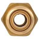 SharkBite&reg; Push-to-Connect x MNPT Global Brass Connector 