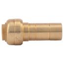SharkBite&reg; Push x CTS Brass Adapter 