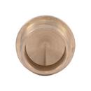SharkBite&reg; Natural Brass PEX Plug 