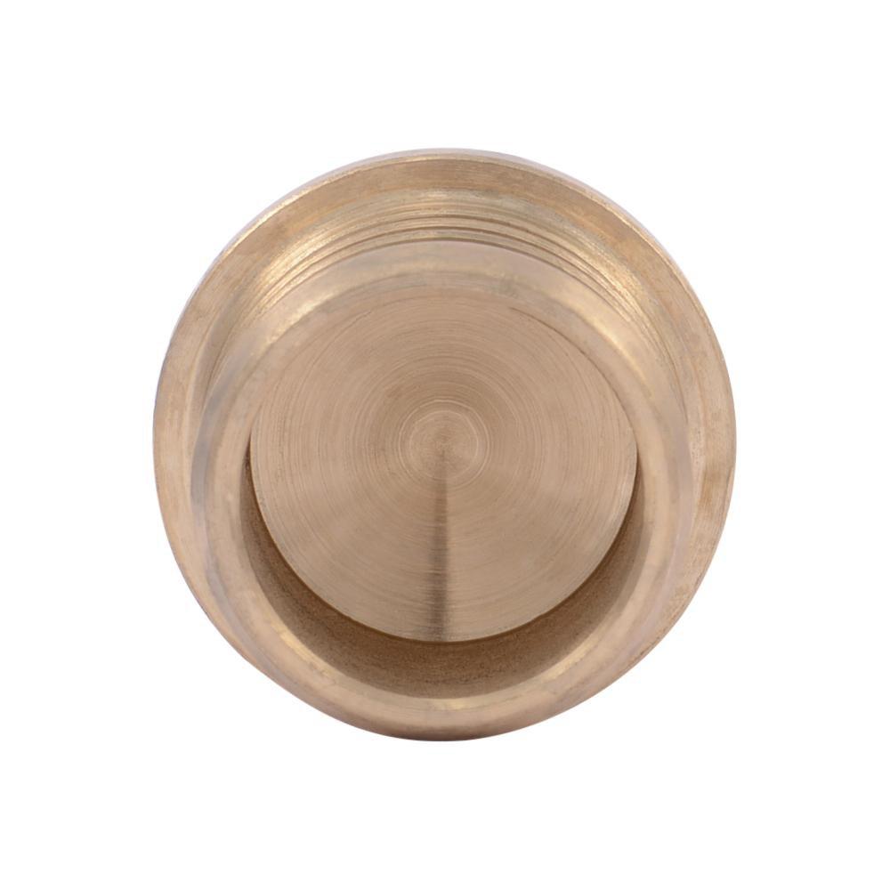 SharkBite&reg; Natural Brass PEX Plug 