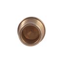 SharkBite® Natural Brass PEX Plug 