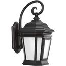 26W 1-Light Outdoor Wall Lantern in Black