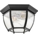 Progress Lighting Black 60W 2-Light Medium Flush Mount 