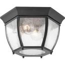 Progress Lighting Black 60W 2-Light Medium Flush Mount 